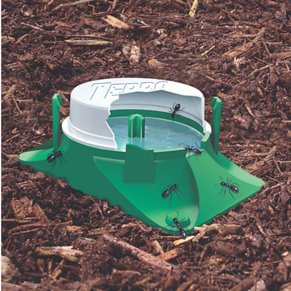 Terro Ant Bait Stations (6-Pack)