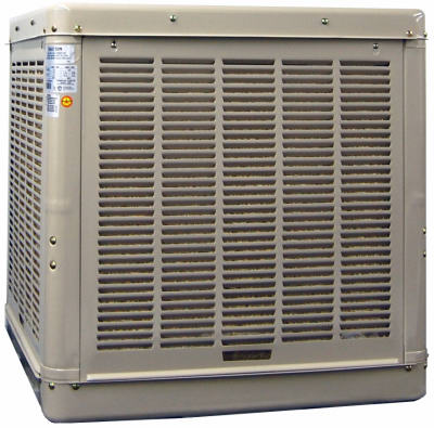 Champion Cooler 3000-DD Cabinet Cooler, 3000 CFM