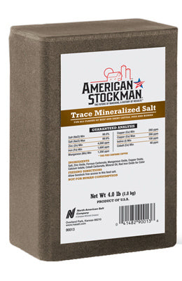 American Stockman 90013 Trace Mineral Brick, 4 lb