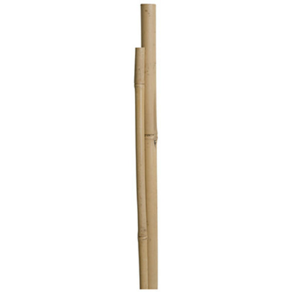 Miracle-Gro® SMG12068W Bamboo Plant Stakes, 5', 4-Pack