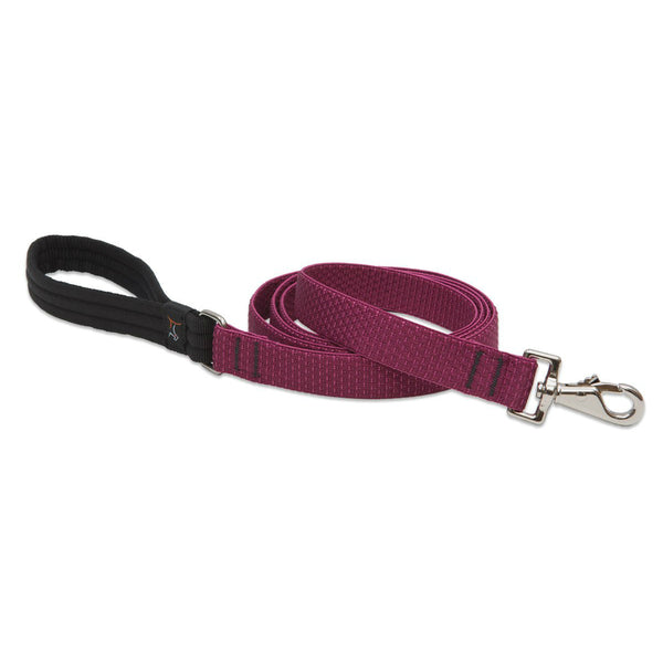 Lupine 36959 ECO Padded Handle Large Dog Leash, Berry Pattern, 1" x 6'