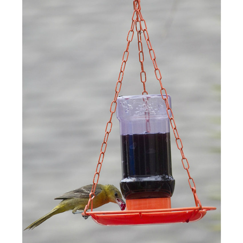 Perky-Pet 253 Oriole Jelly Wild Bird Feeder with Bottle & Hanging Plastic Chain, 32 Oz