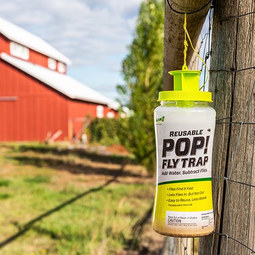 Rescue PFTR-BB4 Pop Reusable Outdoor Fly Trap