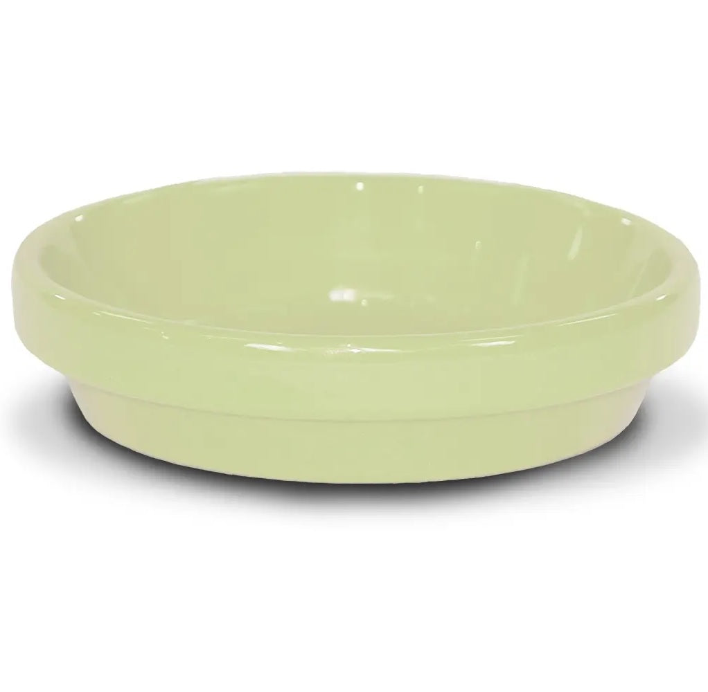 Ceramo PCSABX-4-BY Powder Coated Ceramic Saucer, 3.75 Inch