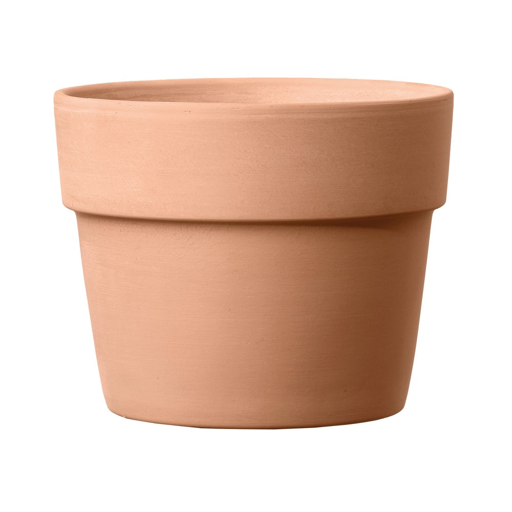 6" WHT Clay Cachepot