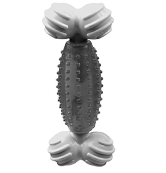 Multipet 51150 Canine Clean Peppermint Bone Dental Dog Toy, 5 Inch