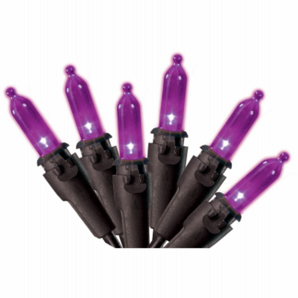 Sylvania V34766-88 Purple LED Mini Set, 100 Light